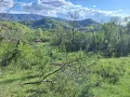 парцел в Еленският балкан , снимка 2