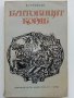 Бунтовният кораб - В.Ровински - 1977г., снимка 1 - Художествена литература - 37714096