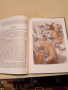 Стари, но прекрасни детски книжки на руски език, снимка 5