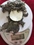 Възрожденски сребърен накит. Куна. Котел. Жеравна, снимка 13
