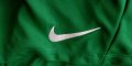 Къс панталон Nike зелен, снимка 2