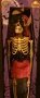 45см! Кукла, фигура на женски скелет Хелоуин (Halloween)