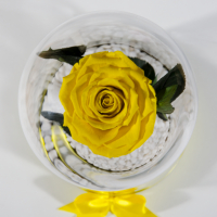 Вечна роза в ГОЛЯМА стъкленица / Оригинален Подарък за Жена / Подарък за Приятелка/ Жълта Вечна Роза, снимка 5 - Подаръци за сватба - 36455119