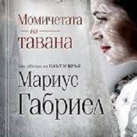 Момичетата на тавана, снимка 1 - Художествена литература - 43377814