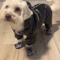 Обувки за куче сняг/дъжд аксесоари за домашни любимци , снимка 6 - За кучета - 44032835