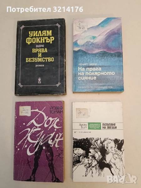 На прага на полярното сияние - Ленарт Мери, снимка 1