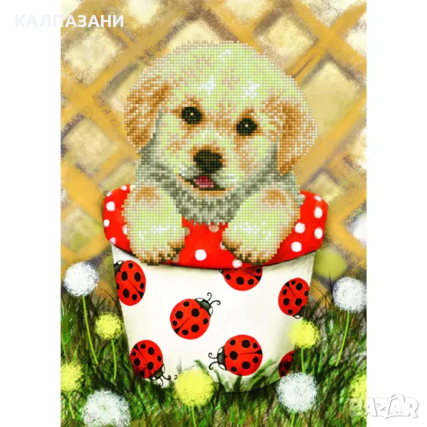 Diamond Dotz Диамантен гоблен Pup in Pot 20587 диаманта DD7013, снимка 1