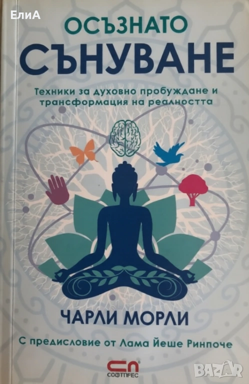 Осъзнато Сънуване - Чарли Морли, снимка 1