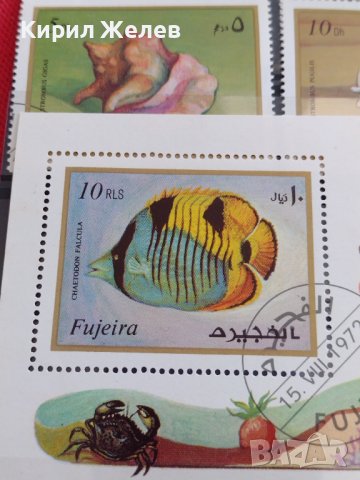 Пощенски марки серия ЕКЗОТИЧНИ РИБИ,РАКОВИНИ за КОЛЕКЦИЯ 37886, снимка 5 - Филателия - 40455113