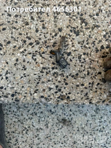 Датчик на ABS vag Grup само за 10лв. 4е0927804а, снимка 2 - Части - 52484060