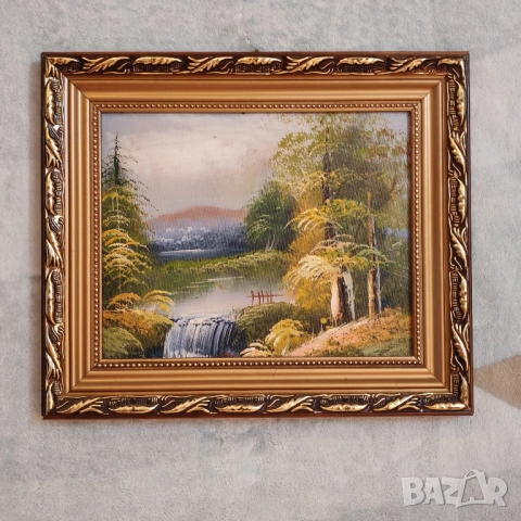 Две картини, рамкирани. , снимка 2 - Картини - 52454200