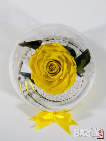 Вечна роза в ГОЛЯМА стъкленица / Оригинален Подарък за Жена / Подарък за Приятелка/ Жълта Вечна Роза, снимка 5 - Подаръци за сватба - 36455119