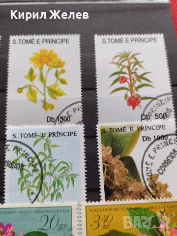 Пощенски марки чиста комплектна серия Растения, Цветя стари редки за колекция декорация - 22048, снимка 4 - Филателия - 36642246