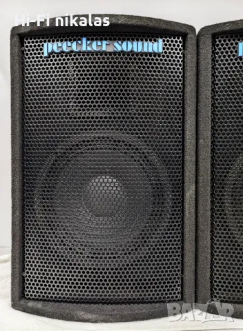 професионални стерео тонколони 10" PEECKER SOUND E 10, снимка 2 - Тонколони - 49708782