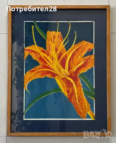 Интересна голяма картина графика