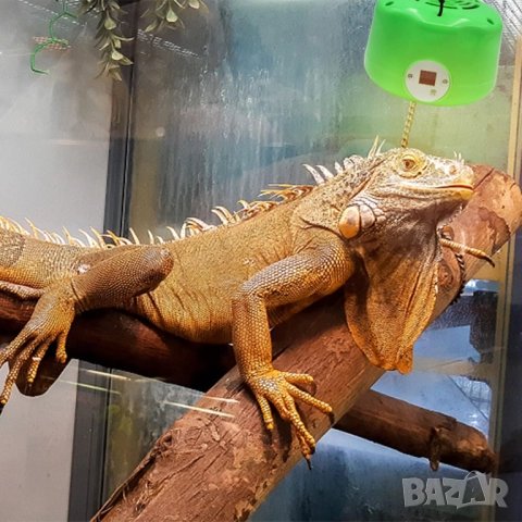 Лампа с терморегулатор за отопление на животни 300W E27 , снимка 4 - За птици - 51677574