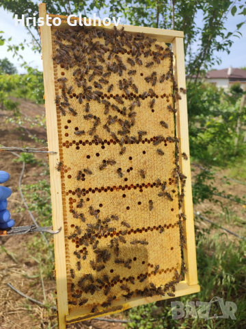 Многокорпусни пчелни отводки , снимка 2 - За пчели - 44932155