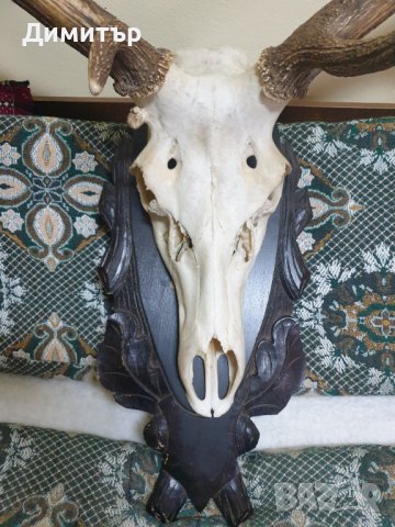 Трофей от голям благороден елен с поставка от дъб–ръчна дърворезба., снимка 8 - Антикварни и старинни предмети - 36803498