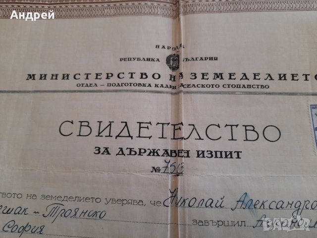Свидетелство за Държавен изпит 1950, снимка 2 - Други ценни предмети - 44082517