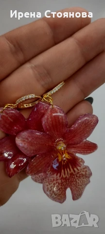 Обеци с естествен цвят на мини орхидея Miltonia. Цветче с размери 5/4,5 см. , снимка 6 - Обеци - 51090714