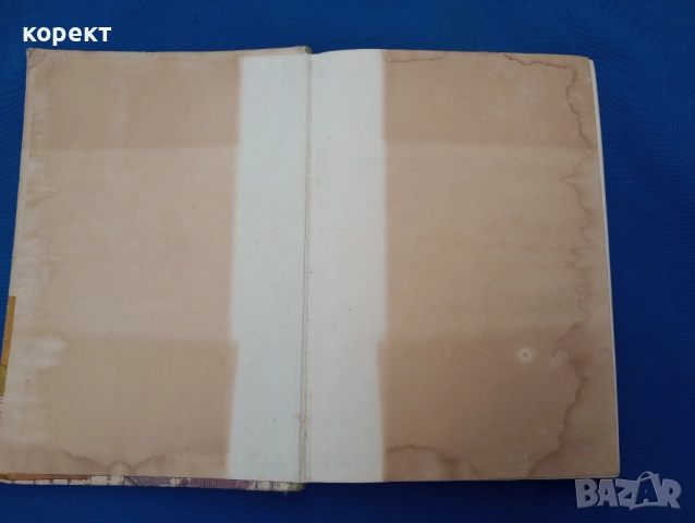 Родна реч , снимка 3 - Други - 52450515