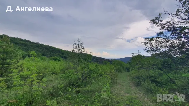 Парцел с.Храбрино 3 677кв, снимка 3 - Парцели - 47843333