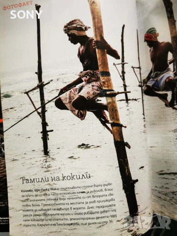 Пистолет PU пяна, тефлонов Wurth Пистолет полиуретанова пяна , снимка 6 - Диамантени и режещи инструменти - 53114617