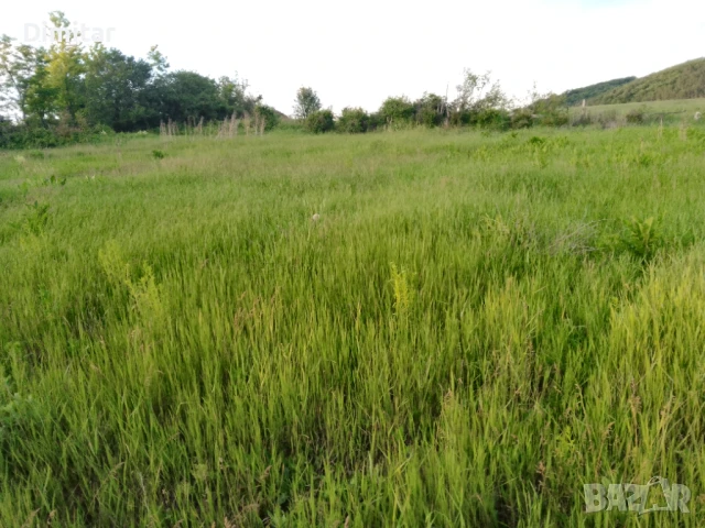 Продавам Парцел 1600 кв.м с.Дралфа