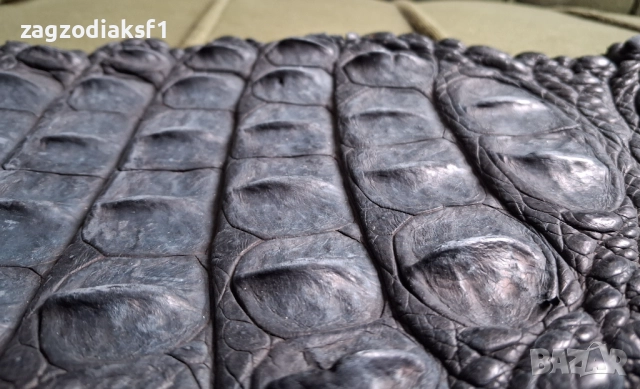 Кожа от гръб на Крокодил 153,5 см., снимка 7 - Колекции - 52801971