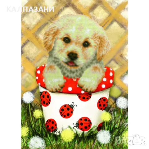 Diamond Dotz Диамантен гоблен Pup in Pot 20587 диаманта DD7013