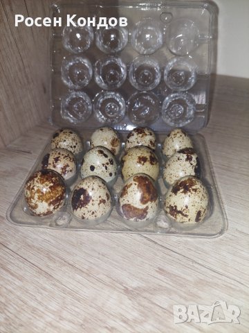 Домашни пъдпъдъчи яйца, снимка 3 - Домашни продукти - 43057712