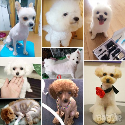 Комплект за подстригване (фризура и маникюр) на домашни любимци, снимка 4 - За кучета - 33245251