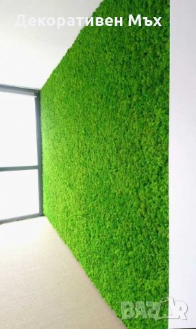 Интериорно озеленяване с естествен скандинавски мъх, снимка 4 - Други услуги - 29013958