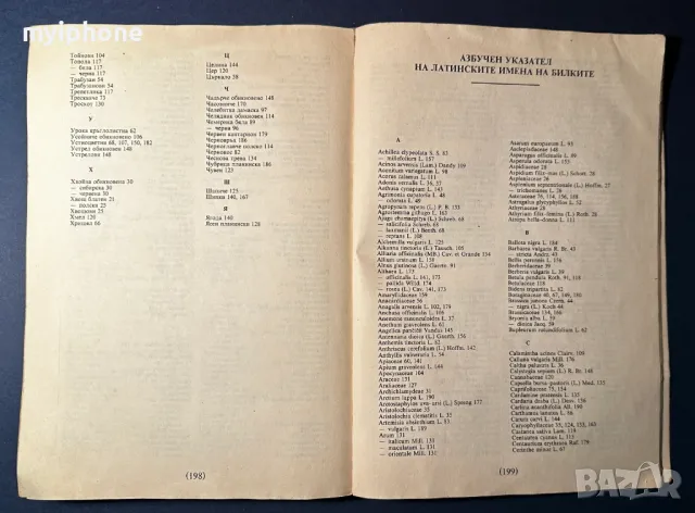 Стара Книга Разпознаване и Събиране на Билки / Борис Китанов, снимка 11 - Специализирана литература - 49528287