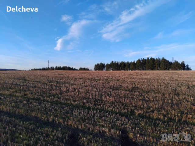 Земеделска земя област Перник, град Батановци 4451кв.м, снимка 3 - Земеделска земя - 52595651