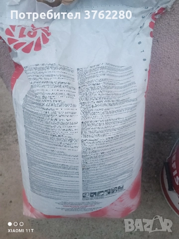 семена слънчоглед , снимка 2 - Сортови семена и луковици - 52120502