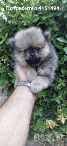 Момченце, снимка 1