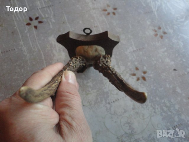 Немски ловен трофей 19 век 6, снимка 5 - Антикварни и старинни предмети - 43727536