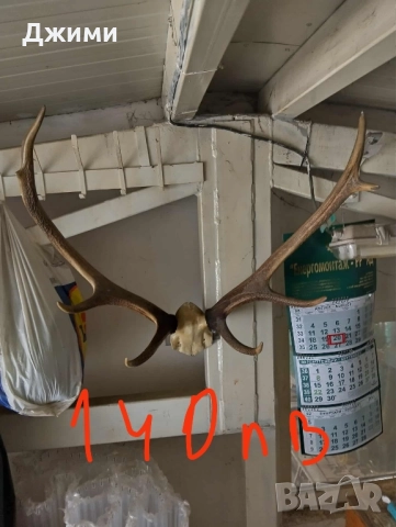 различни симетрични трофеи, снимка 12 - Антикварни и старинни предмети - 47085516