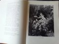 Пан Тадеуш от Адам Мицкевич, оригинално издание от 1959 г. превод Блага Димитрова, с илюстрации, снимка 4