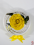 Вечна роза в ГОЛЯМА стъкленица / Оригинален Подарък за Жена / Подарък за Приятелка/ Жълта Вечна Роза, снимка 5