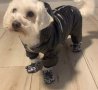 Обувки за куче сняг/дъжд аксесоари за домашни любимци , снимка 6