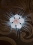 Плетена брошка-шнола цвете в бяло, снимка 1 - Аксесоари за коса - 39532388