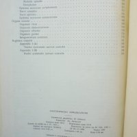 Книга Анатомически номенклатури - Димитър Каданов 1959 г., снимка 4 - Специализирана литература - 38346854