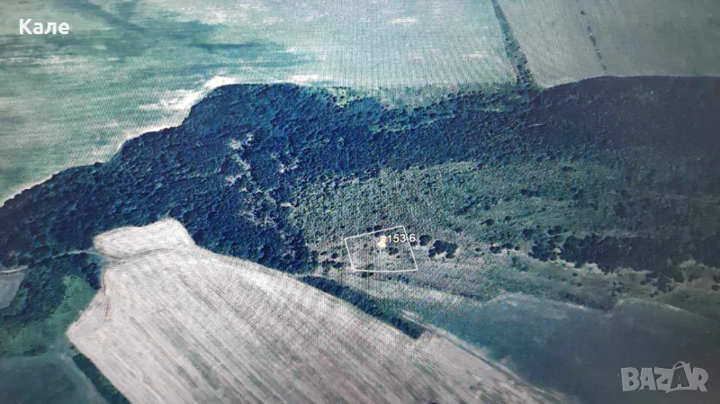 Пасище 6 дка с. Винище, община Монтана, снимка 1