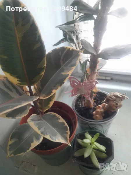 Предлагам икебана от три вида цветя, снимка 1