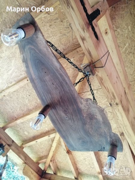 Полилей от орех, снимка 1