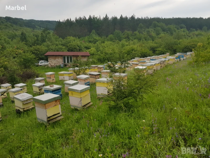 Продавам Пчелин, снимка 1