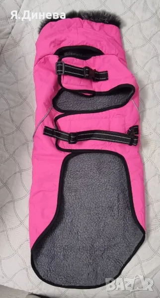 Яке за куче в розов цвят , снимка 1