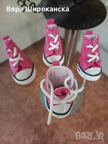 Кецове за малко куче, снимка 4 - За кучета - 47482566